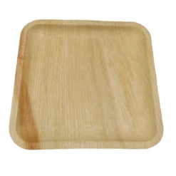 10 assiettes à dîner réutilisables