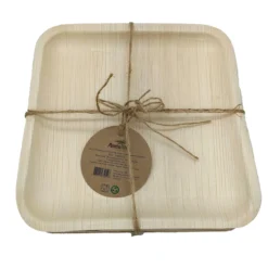 10 assiettes à dîner réutilisables