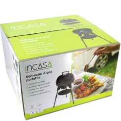 Barbecue à gaz portable
