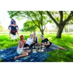 Barbecue gazPremier