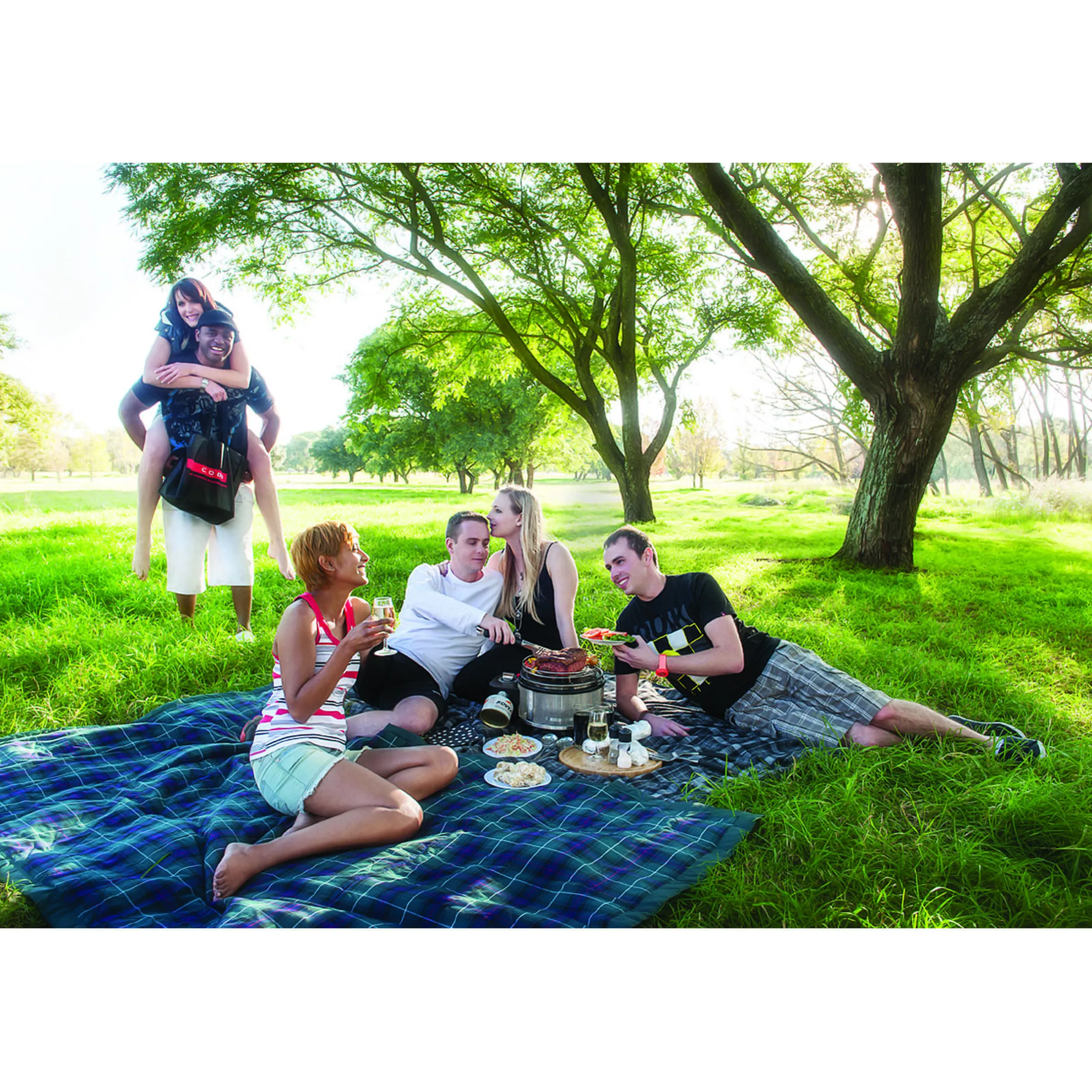 Barbecue gazPremier