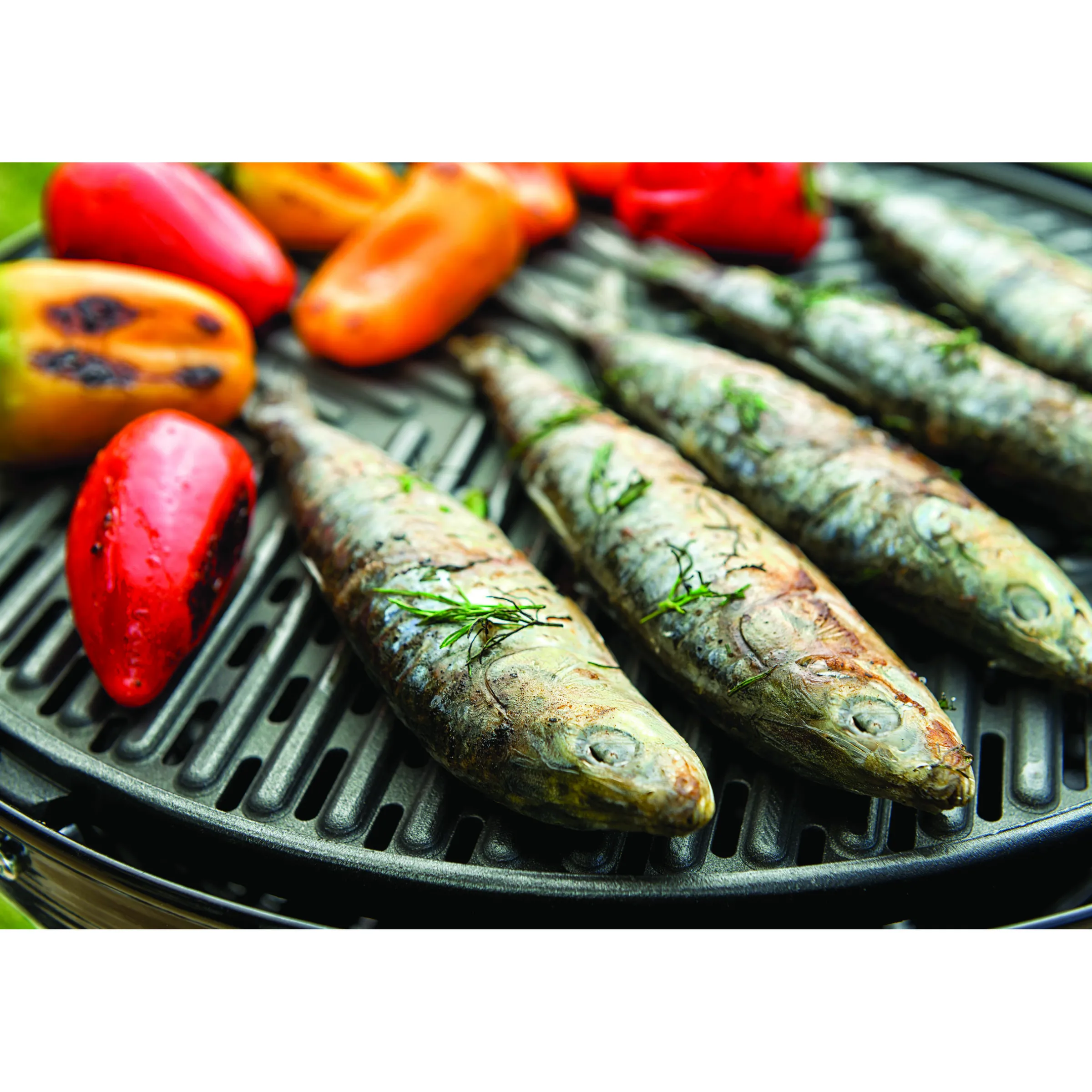 BBQ / Plancha 40