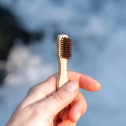 Brosse à dents de voyage en bambou