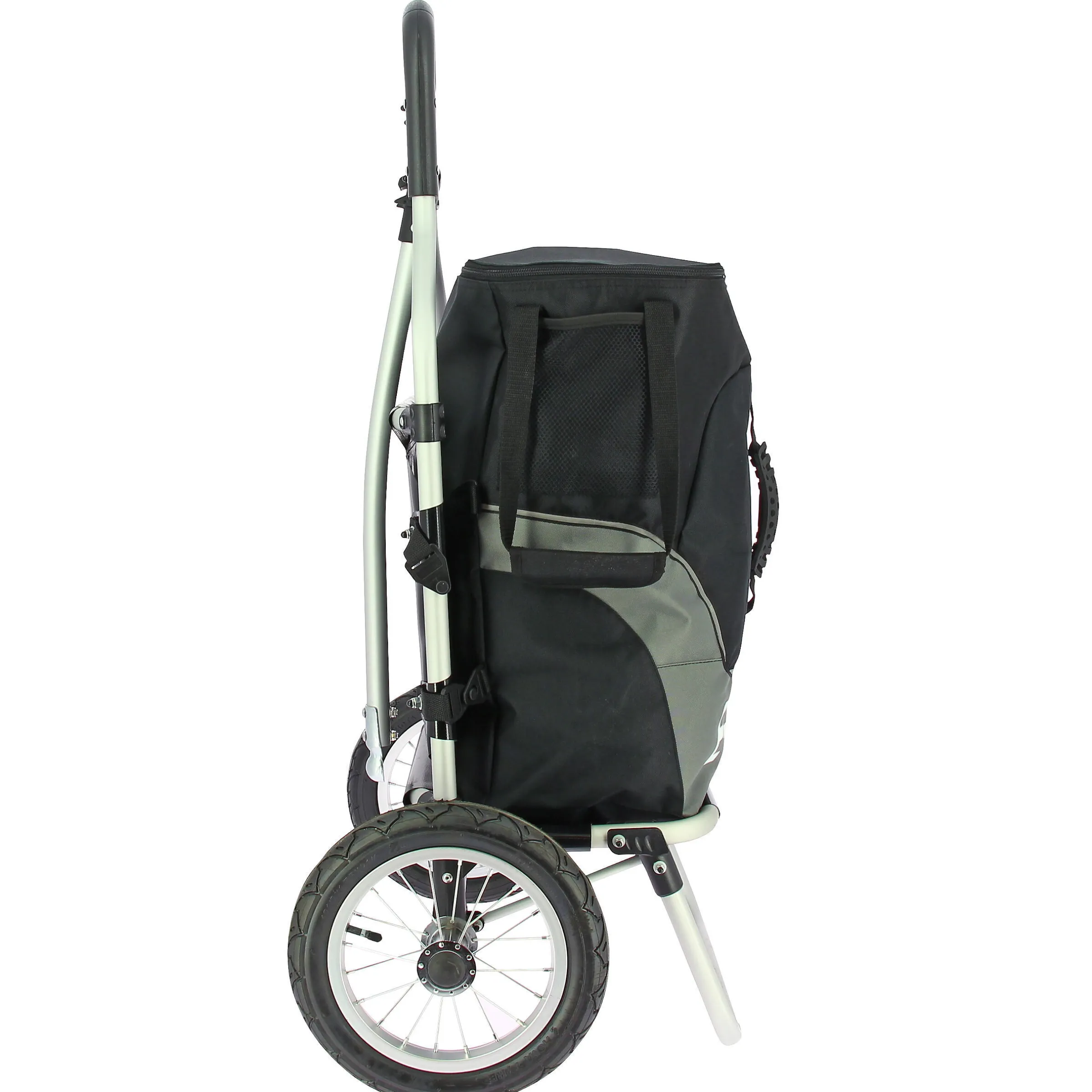 Caddie pour vélo électrique