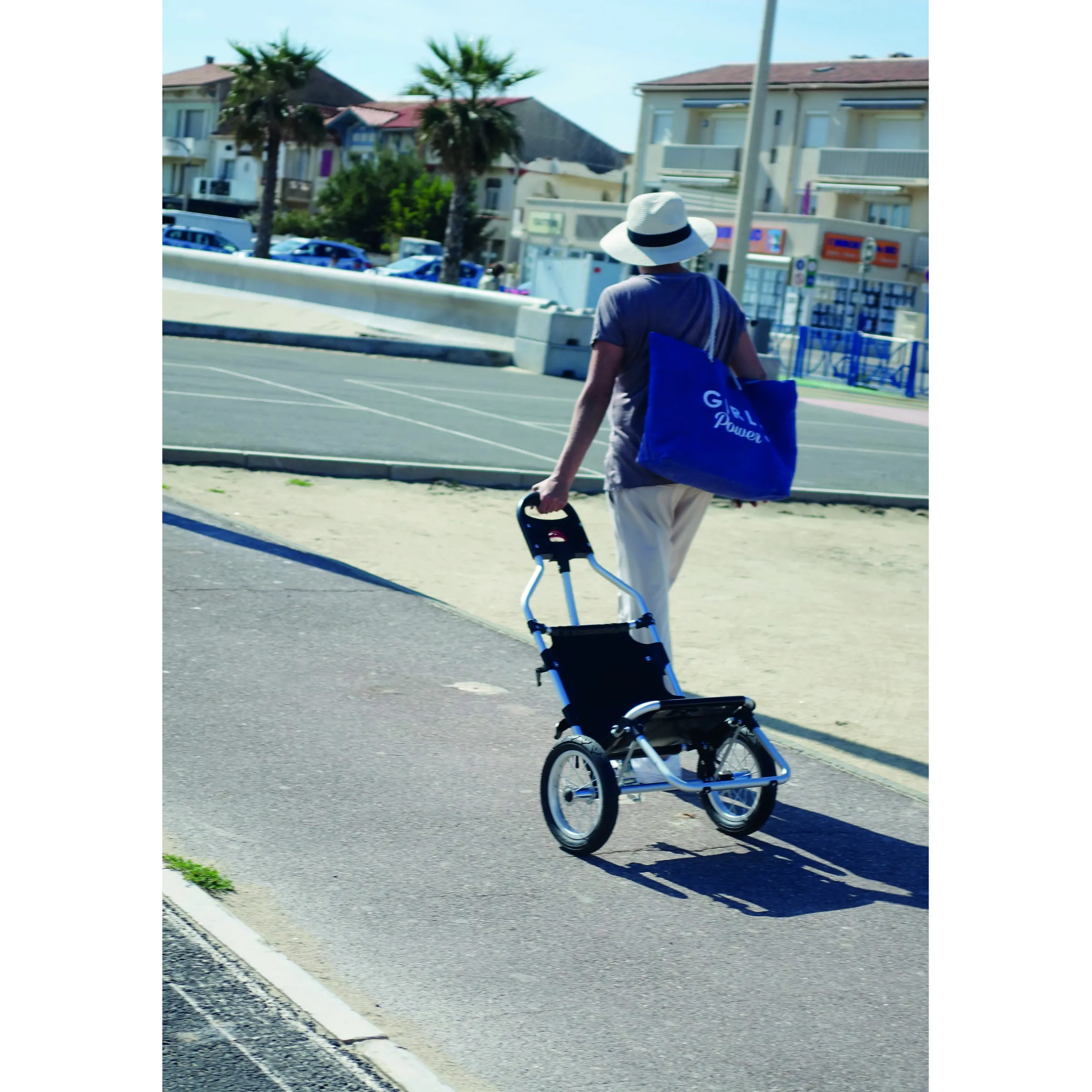 Caddie pour vélo électrique