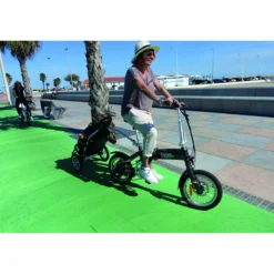 Caddie pour vélo électrique