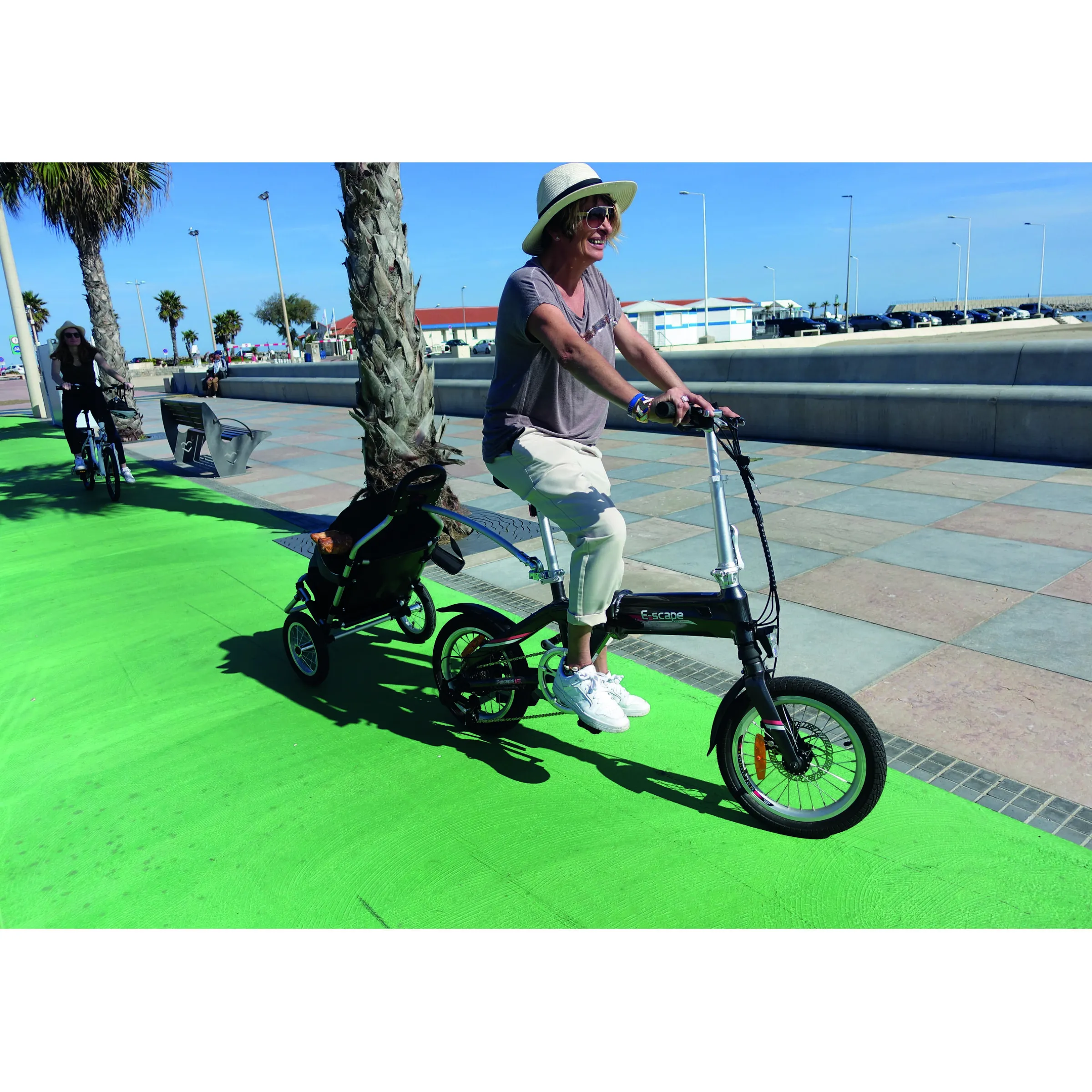 Caddie pour vélo électrique