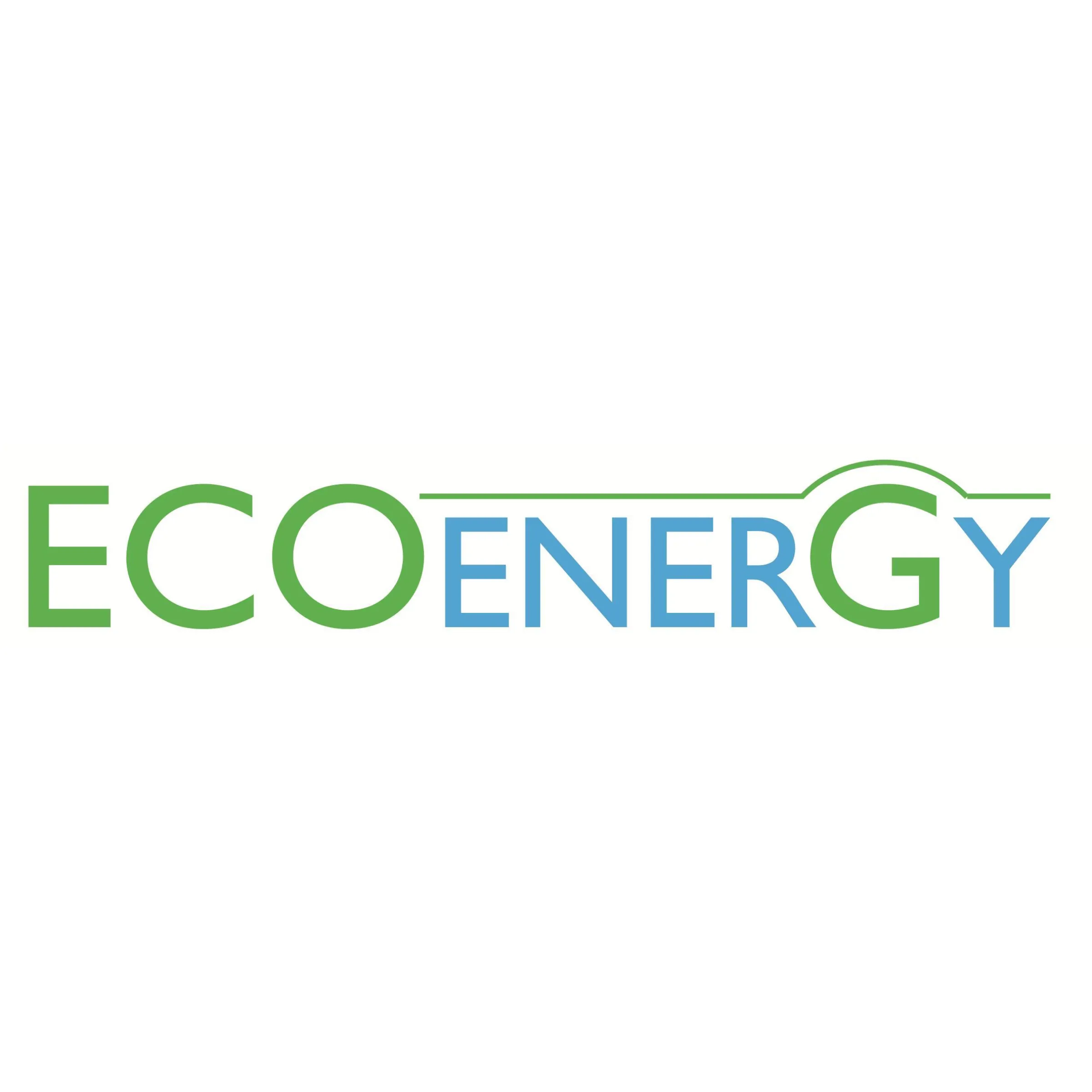 Chargeur Eco Energy