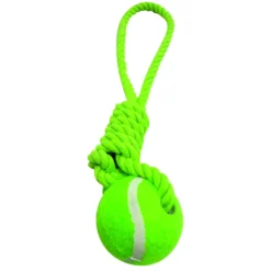Jouet corde et balle de tennis pour animaux