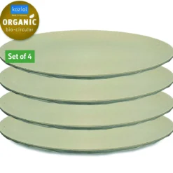 Lot de 4 assiettes plates CLUB