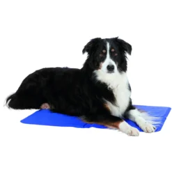 Matelas rafraîchissant pour chien