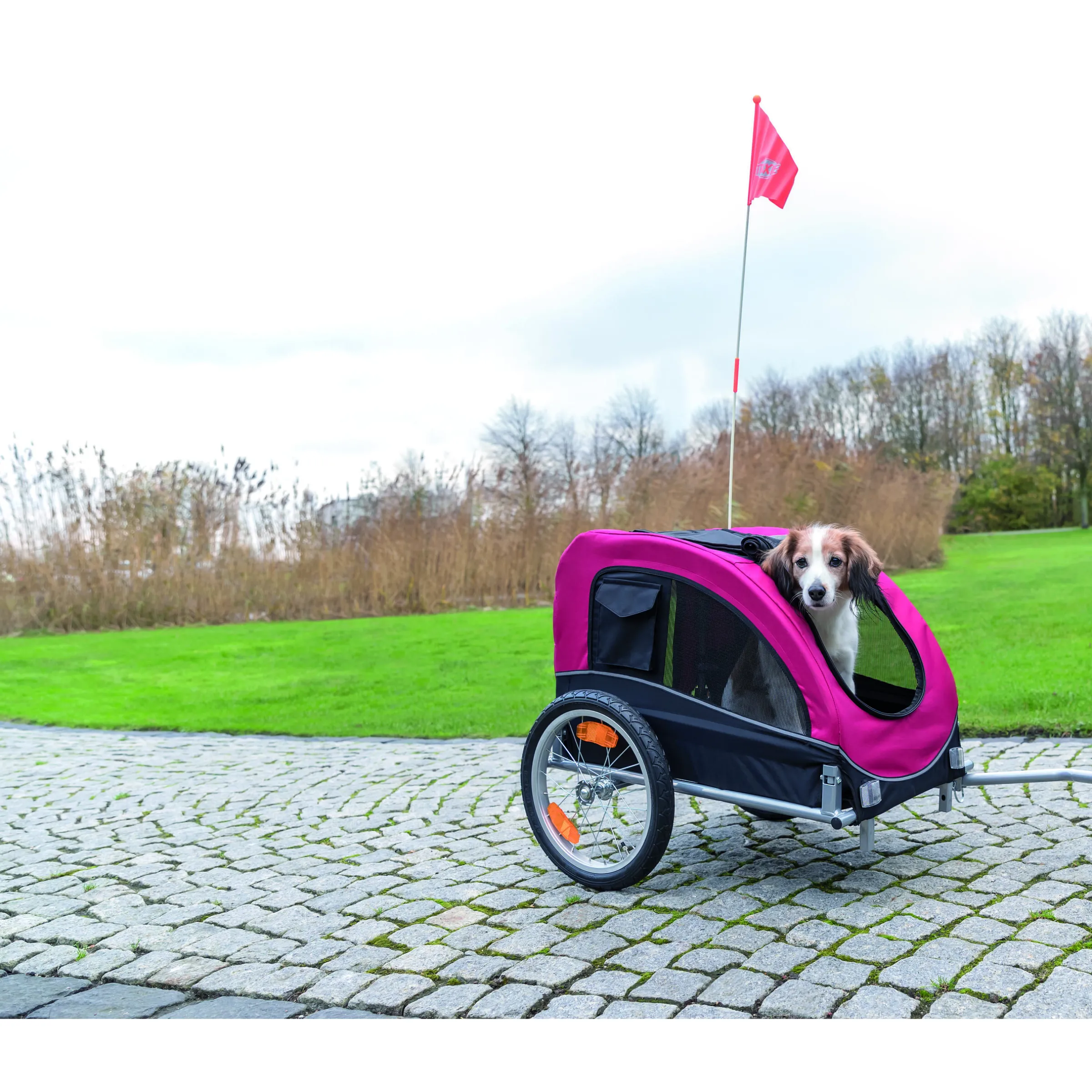 Remorque de vélo pour chien taille S