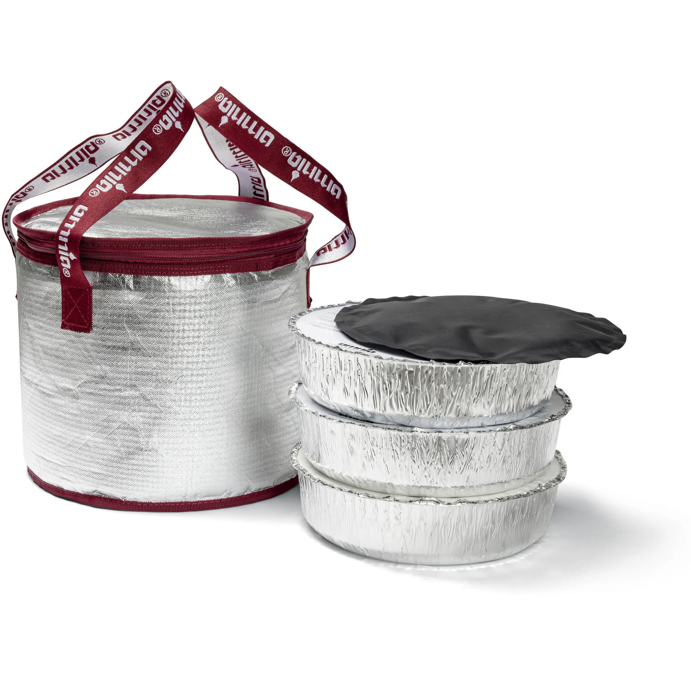 Sac isotherme avec packs de glace