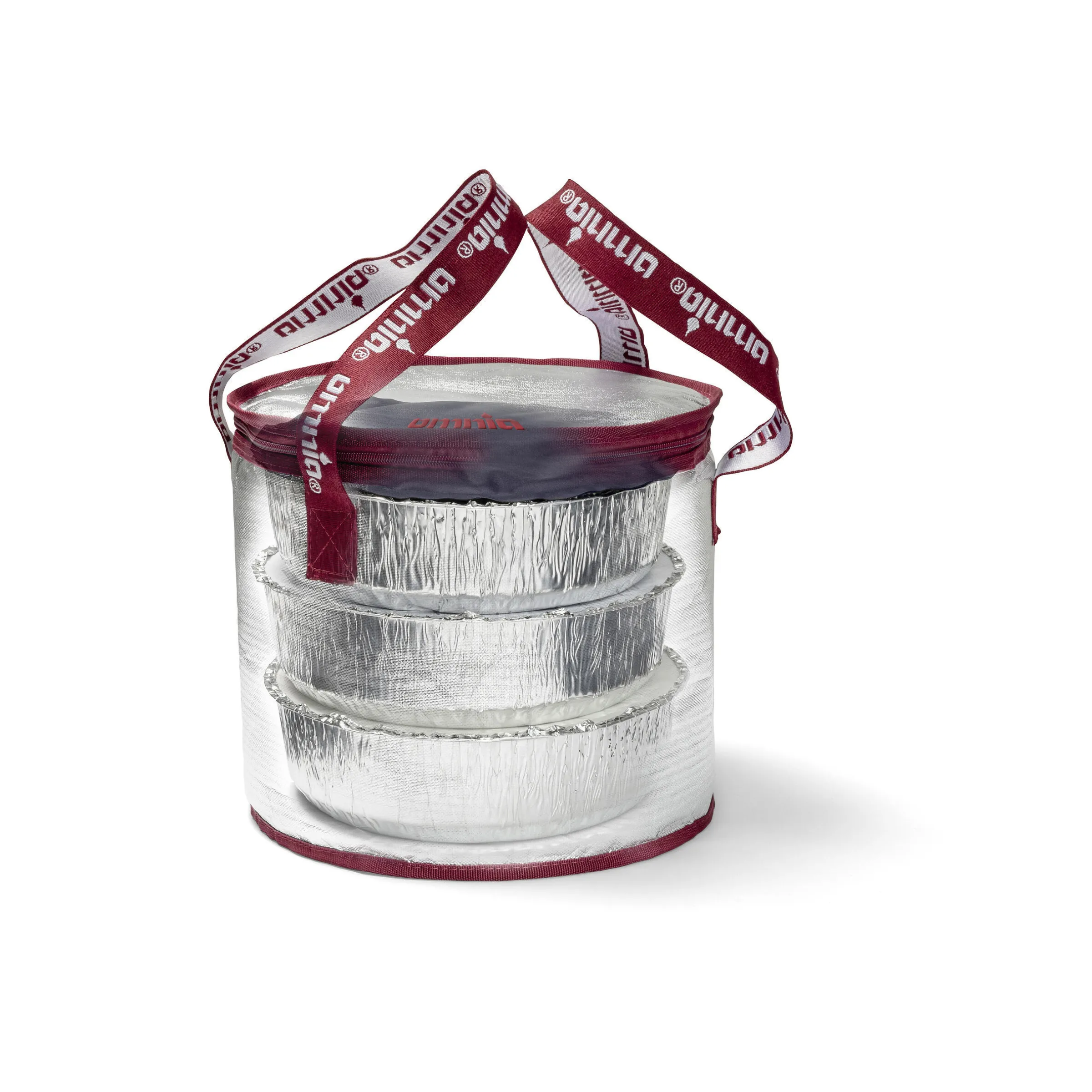 Sac isotherme avec packs de glace
