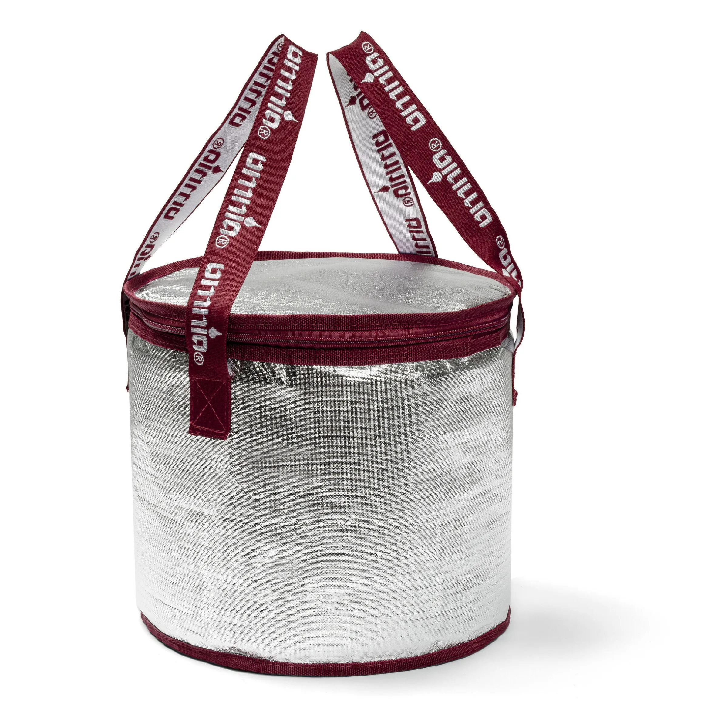 Sac isotherme avec packs de glace