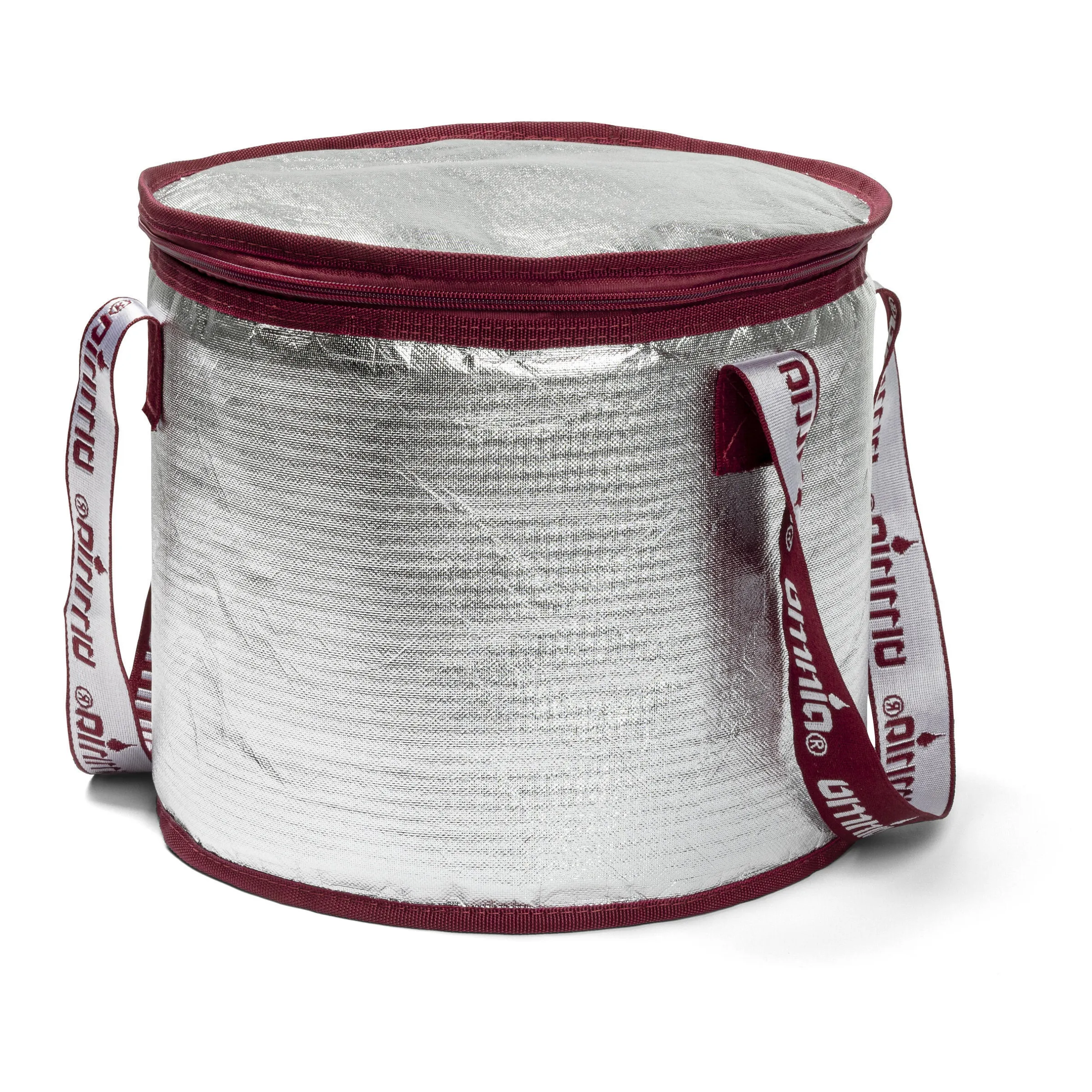 Sac isotherme avec packs de glace