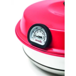 Thermomètre pour four