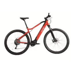 Vélo à assistance électrique CS300 29"